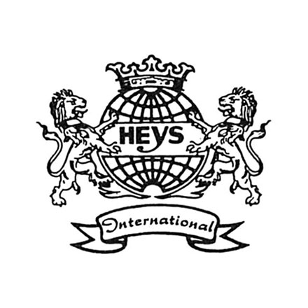 Example Image